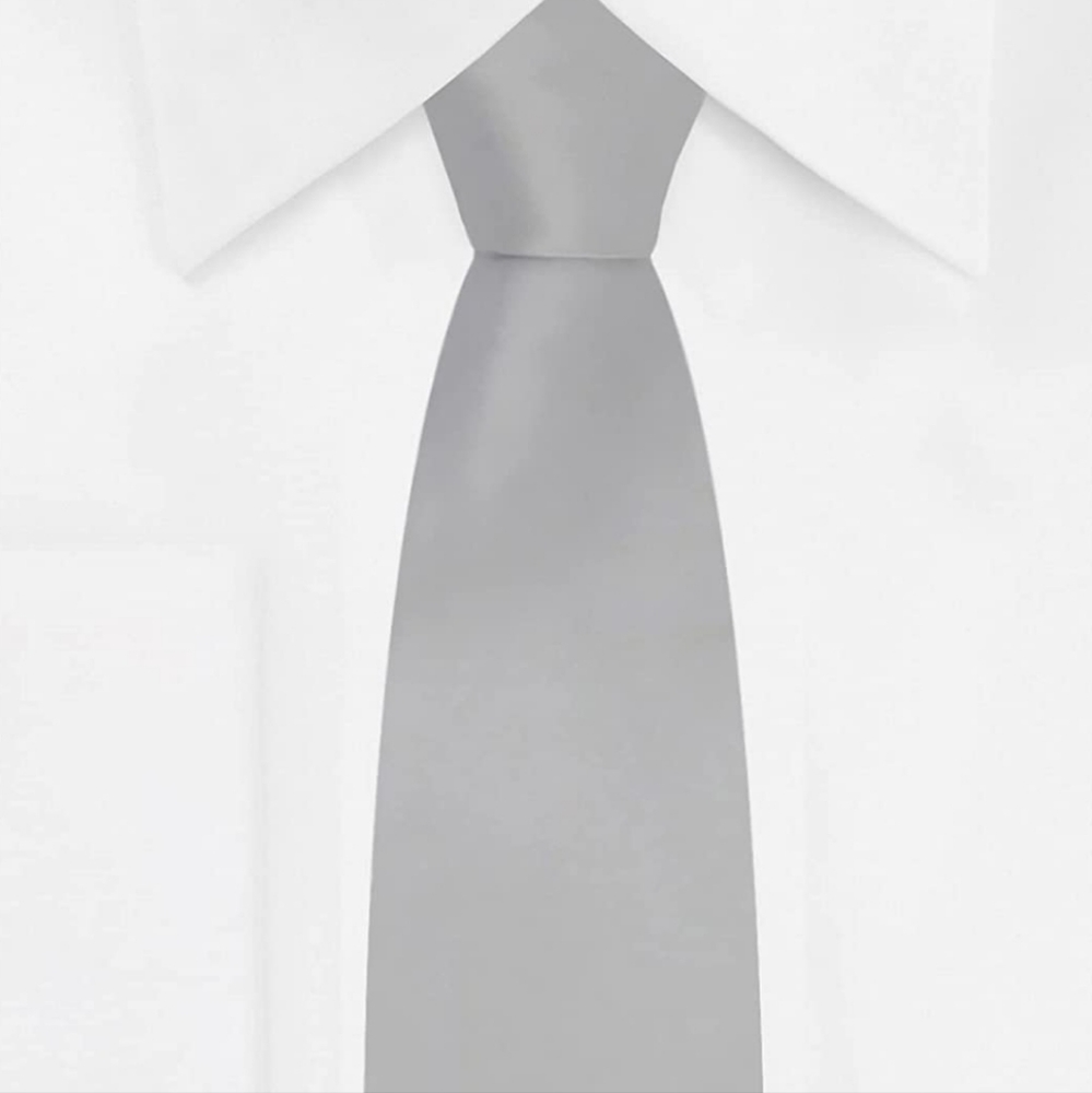 Boys 14in Clip on Tie Silver